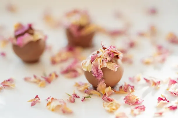 קוינ365בט קזינו אפליקציית Android/iOS